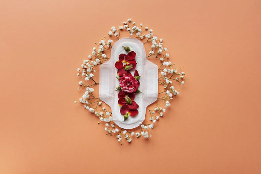 Menstruation 101: Understanding Your Monthly Cycle